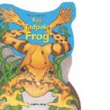 Egg, Tadpole, Frog