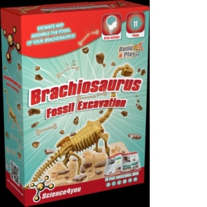 Set paleontologie - Brachiosaurus