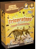 Set paleontologie - Triceratops