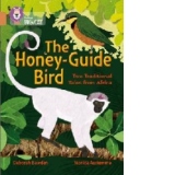 Honey-Guide Bird: Two Traditional Tales from Africa
