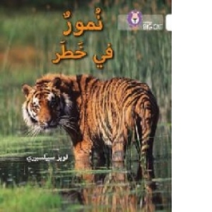 Tigers in Danger: Level 10