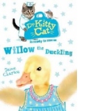 Dr Kittycat is Ready to Rescue: Willow the Duckling
