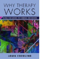 Why Therapy Works