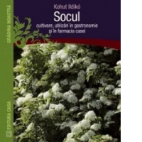 Socul: cultivare, utilizari in gastronomie si in farmacia casei