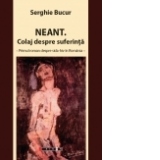 Neant. Colaj despre suferinta - primul roman despre sida-hiv în Romania