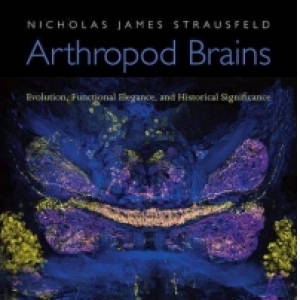Arthropod Brains. Evolution, Functional Elegance and Historical Significance