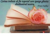Card magnetic laminat - Cartea trebuie sa fie toporul care sparge gheata dinlauntrul nostru (Franz Kafka)