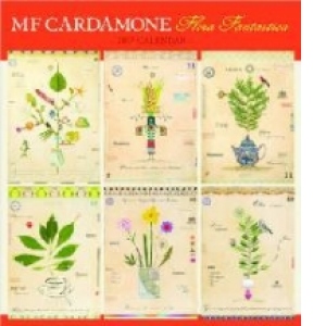MF Cardamone