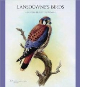 Lansdowne's Birds 2017 Wall Calendar