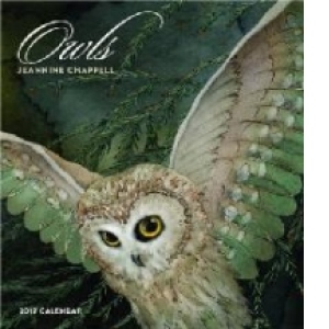 Owls 2017 Wall Calendar