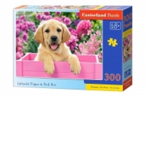 Puzzle 300 piese Labrador Puppy in Pink Box 30071