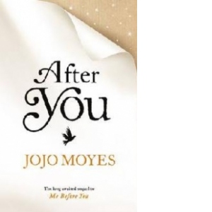 After You (the Sequel to Me Before You)