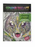 Carte antistres de colorat Amaizing Animals, A4 64 pag