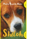 Shiloh (paperback)