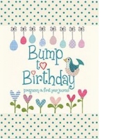 Bump to Birthday, Pregnancy & First Year Journal