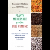 Plante medicinale pentru boli comune