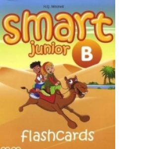 Smart Junior 4B: Flashcards