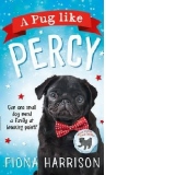Pug Like Percy