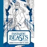 Fantastic Beasts and Where to Find Them: A Book of 20 Postca