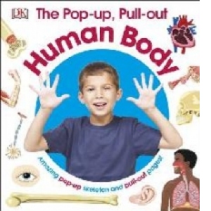 Pop-Up Pull Out Human Body