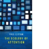Ecology of Attention