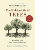 Hidden Life of Trees