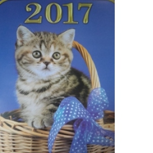 Calendar 2017 Pisici
