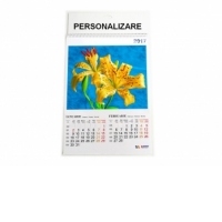 Calendar A3 flori 2017