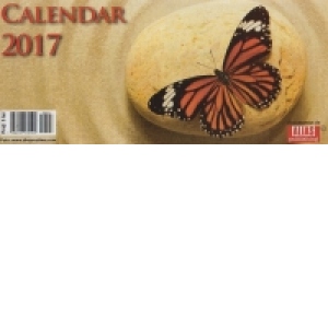 Calendar de birou Fluturi 2017