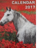 Calendar A3 Cai 2017