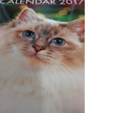 Calendar A3 Pisici 2017