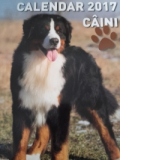 Calendar A3 Caini 2017