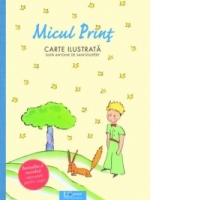 Micul Print