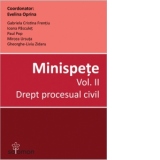 Minispete. Vol. II. Drept procesual civil