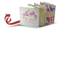 Carticica acordeon
