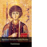 Paraclisul Sfantului Marelui Mucenic Pantelimon