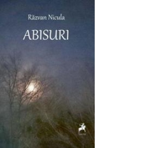 Abisuri