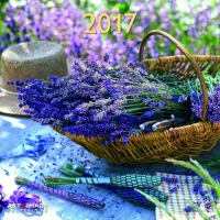 Garden and Decoration 2017