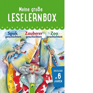 Meine grosse Leselernbox - Zoogeschichten, Zauberergeschichten, Spukgeschichten: Empfohlen ab 6 Jahren