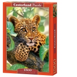 Puzzle 1500 piese Tree Hugger