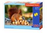 Puzzle 180 piese Squirrel in Paradise