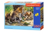 Puzzle 260 piese The Shell Game