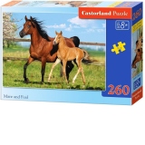 Puzzle 260 piese Mare and Foal