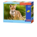 Puzzle 260 piese Little fox on the Meadow