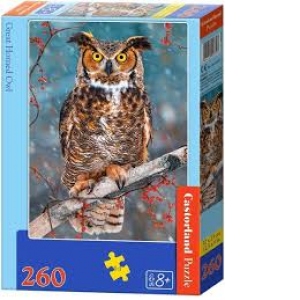 Puzzle 260 piese Great Horned Owl