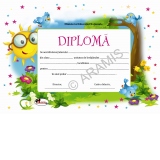Diploma model Soare