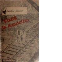 Vizita la domiciliu - Roman