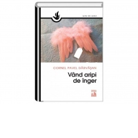 Vand aripi de inger