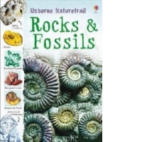 Rocks and Fossils