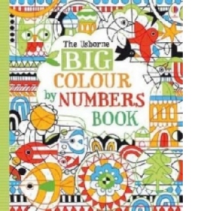 Big Colour by Numbers Book